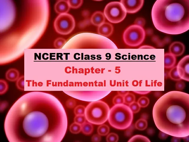 NCERT Class 9 Science Chapter 5 The Fundamental Unit of Life