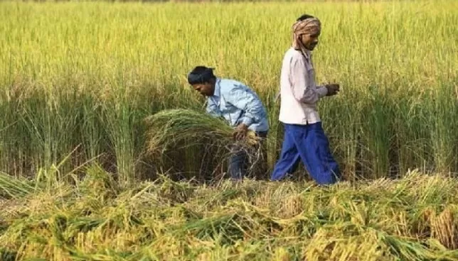 India, Fiji sign MoU on cooperation in agriculture and allied sectors