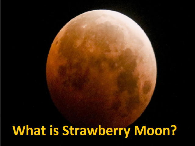 Strawberry Moon June 2021: Date, Timings, Visibility in ...