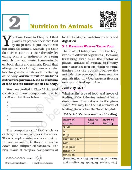Nutrition in Animals - Chapter 2: Class 7 Science NCERT Book (PDF)