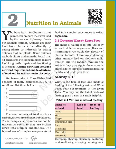 research paper on topics related to animal nutrition