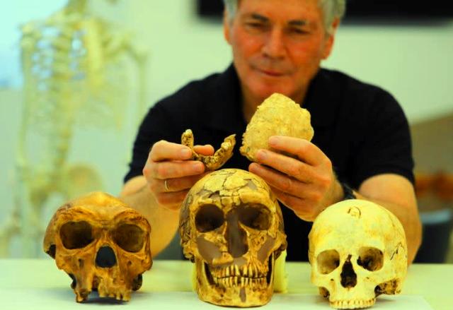 Nesher Ramla Homo: New early human discovered at cement site in Israel
