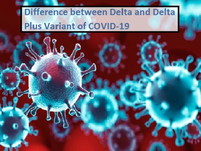 Delta and Delta Plus evade the antibody respo