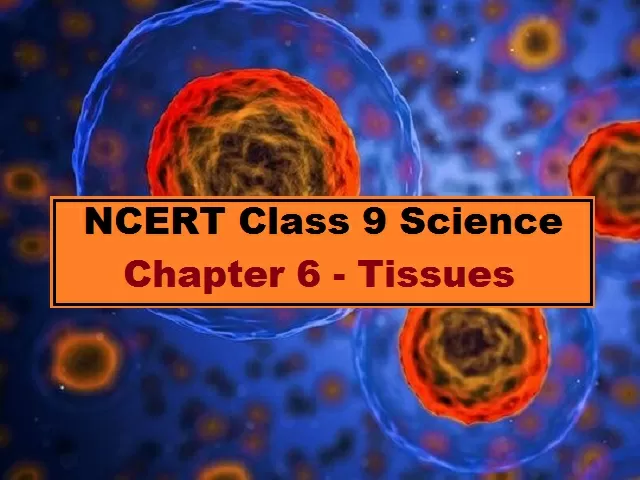 Tissues: Class 9 Science NCERT Chapter 6 - Download In PDF