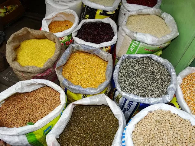 Govt launches seed minikit programme to boost production of pulses, oilseeds in Hindi