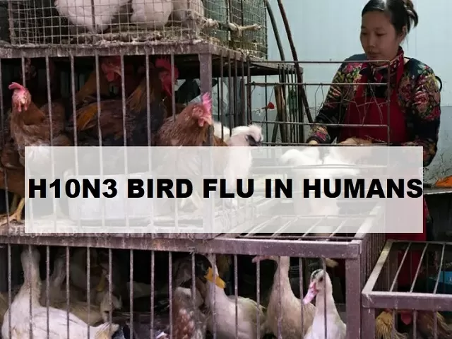 H10N3 Bird Flu case reported in China