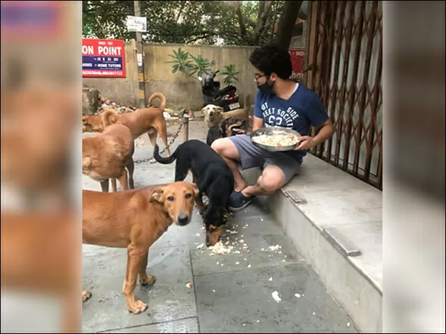 Staying PAWSITIVE in these negative times