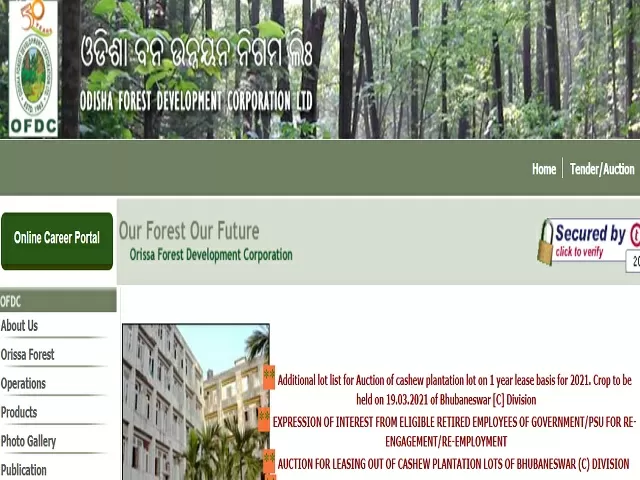 OFDC Recruitment 2021: Apply for U.D. Asst, Jr. Accountant/Auditor & Other Posts