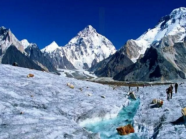 Reference Image