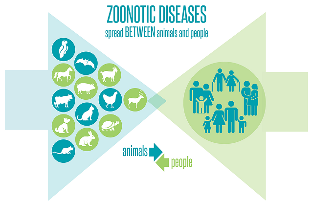 What are Zoonotic diseases? Know the causes, symptoms and prevention ...