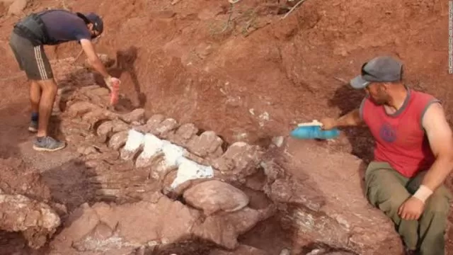 Fossils of Dinosaurs from 140 million years ago discovered in Argentina 