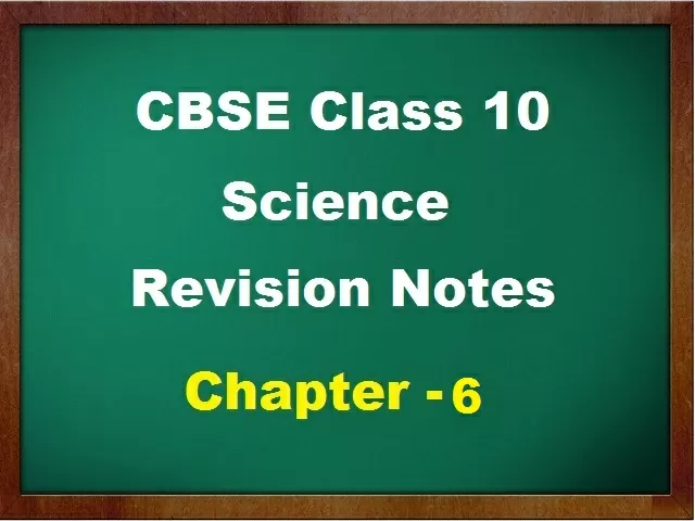 CBSE Class 10 Science Revision Notes for Chapter 6 Life Processes