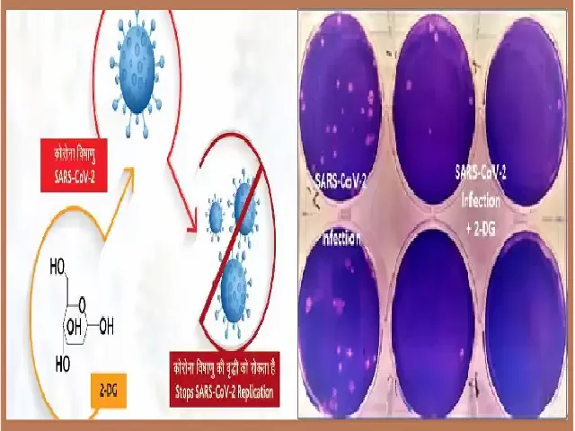 What is 2DG or 2-Deoxy-D-glucose and how it works?