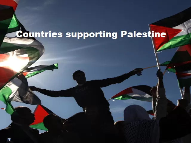 Palestinesupporters.webp