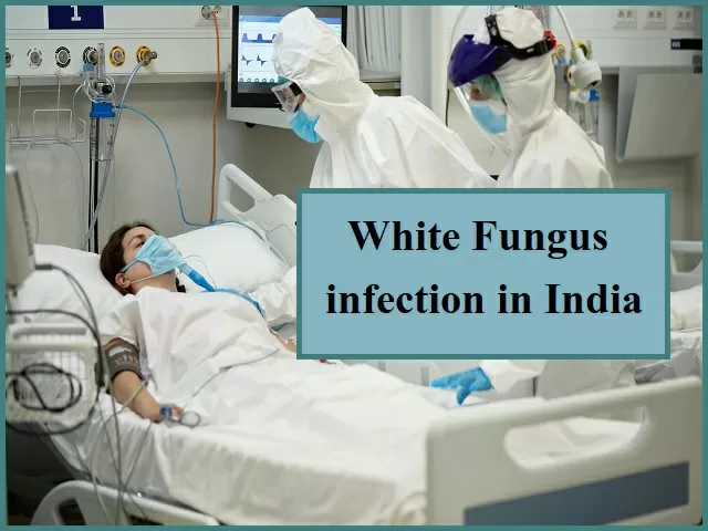 White Fungus Infection in India | Credit: NIH