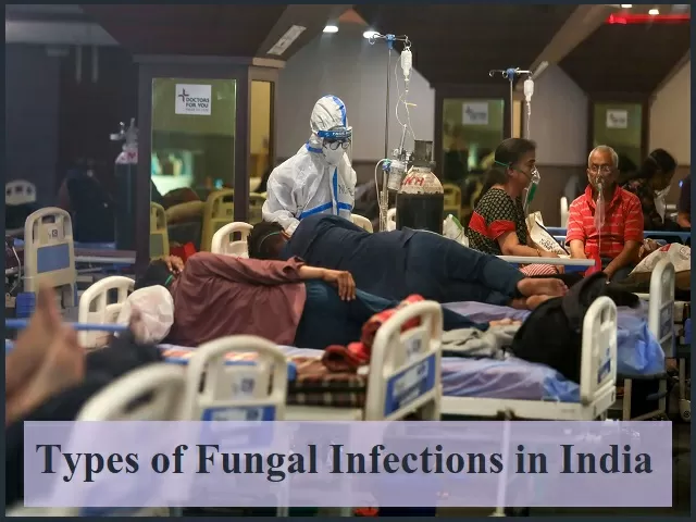 Types of Fungal Infections in India | Credit: New York Magazine
