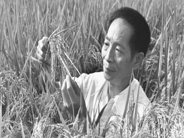 Yuan Longping, Source: Xinhua