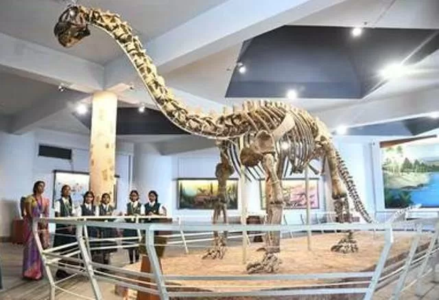 100 million-years-old bones of Sauropods dinosaur found in Meghalaya