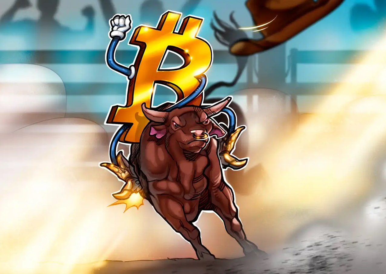 big bull crypto price in india