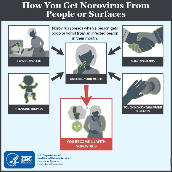 What is Norovirus? Check Symptoms, Preventive Measures, Treatment, and