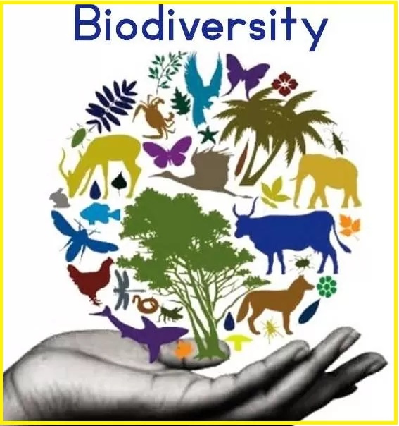 Biodiversity Awards Winners
