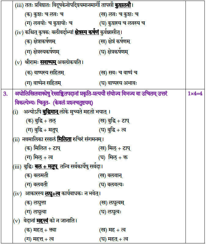 class 10 sanskrit assignment pdf