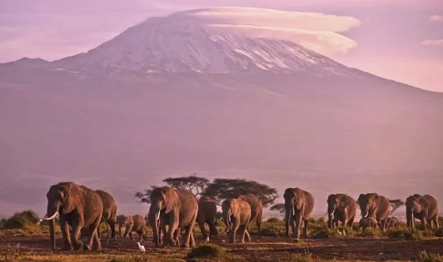 Climate Change Phenomenon: Africa’s Rare Glaciers will disappear soon