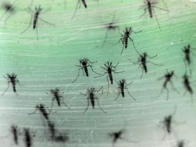 First Zika Virus case in UP
