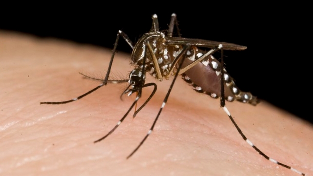 Zika virus in UP: उत्तर प्रदेश के कानपुर में जीका वायरस का कहर, जानें इसके लक्षण
