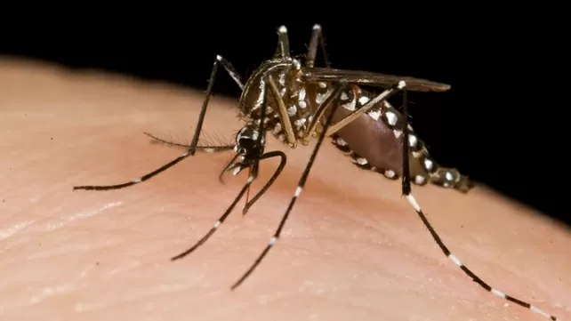 Zika virus case detected in Kanpur, first in Uttar Pradesh