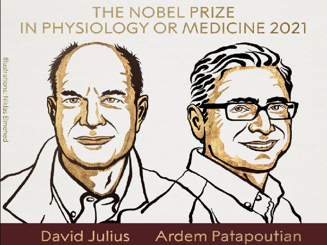 Nobel in Medicine 2021