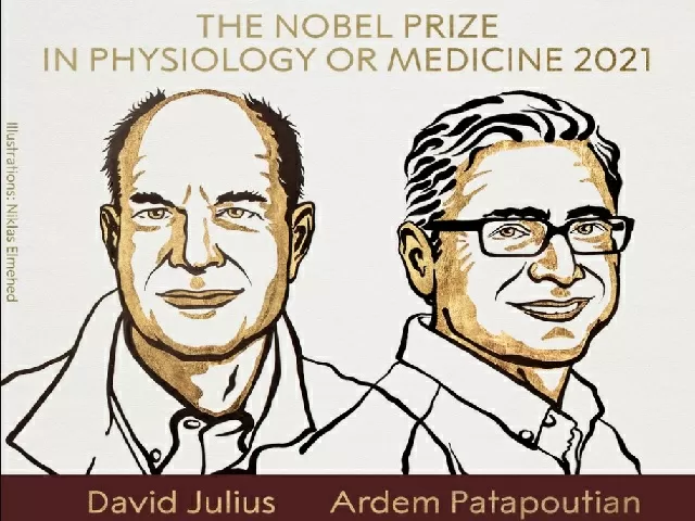 Nobel in Medicine 2021