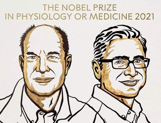 US scientists Julius and Patapoutian win 2021 Nobel Prize in Medicine