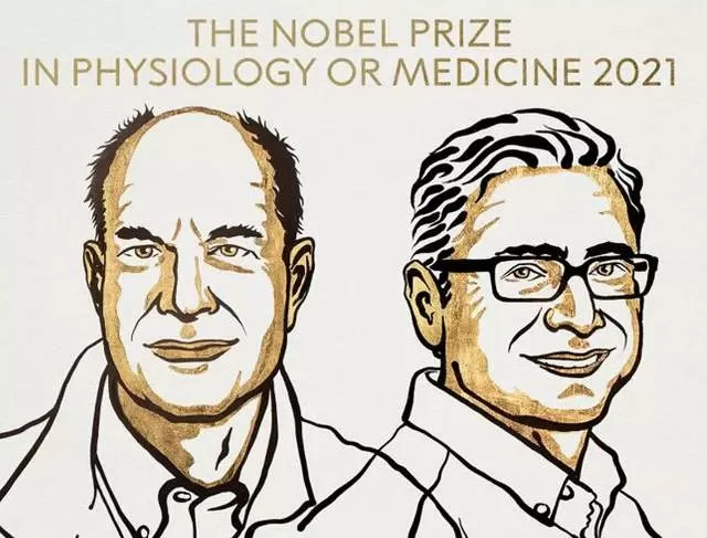 US scientists Julius and Patapoutian win 2021 Nobel Prize in Medicine  
