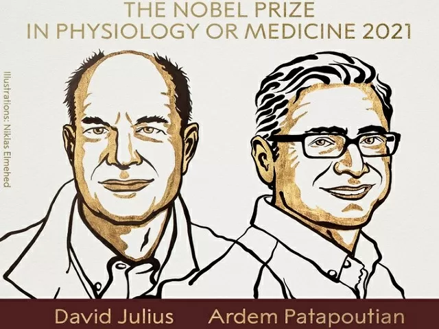 Nobel Prize in Physiology or Medicine 2021 jointly awarded to David Julius and Ardem Patapoutian: All you need to know