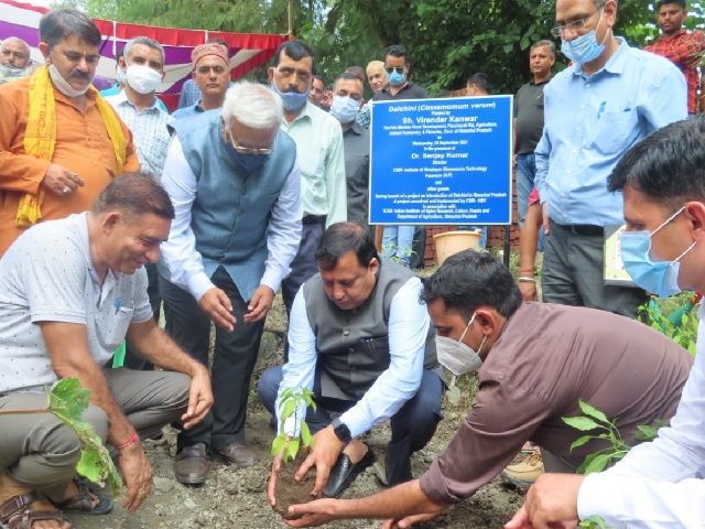 Himachal Pradesh becomes first Indian state to begin organised cultivation of Cinnamon