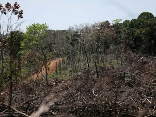 Amendments to Forest Conservation Act
