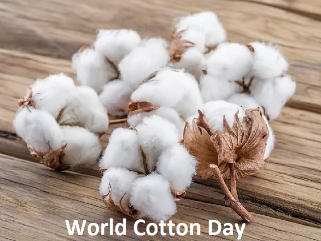 Celebrating World Cotton Day 2024: know it’s History, significance