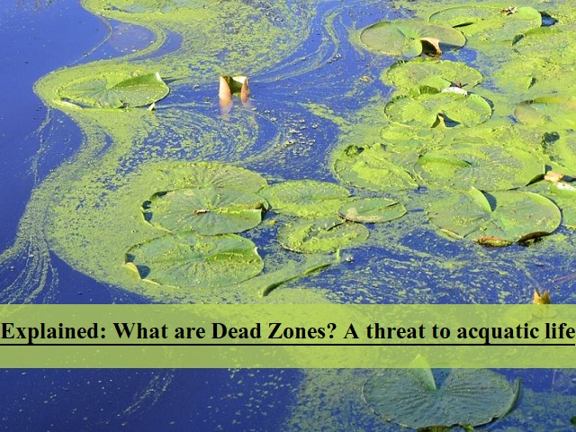 explained-what-are-dead-zones-and-how-are-they-created