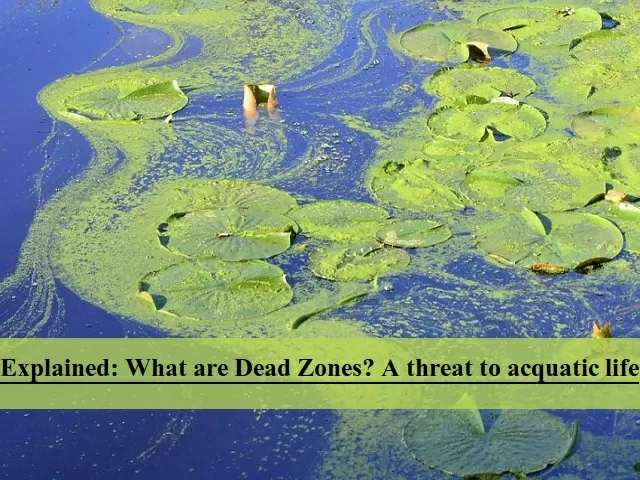 Explained: What are dead zones and how are they created?