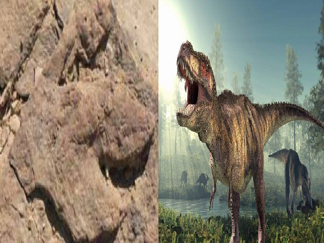 Footprints of three species of dinosaurs