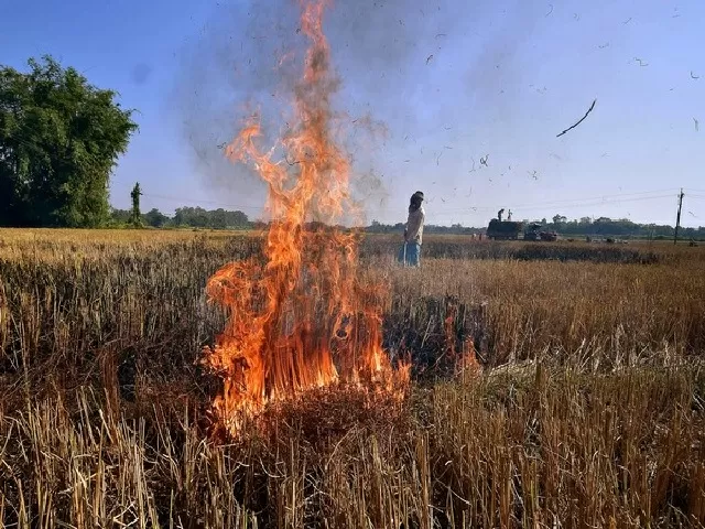 Problem of Stubble Burning