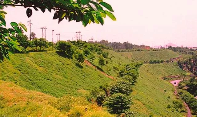 Coal Projects to boost green cover mission in India
