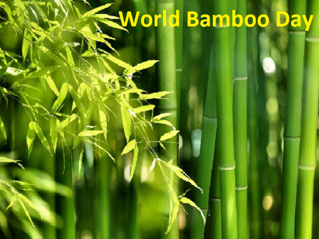 World Bamboo Day 