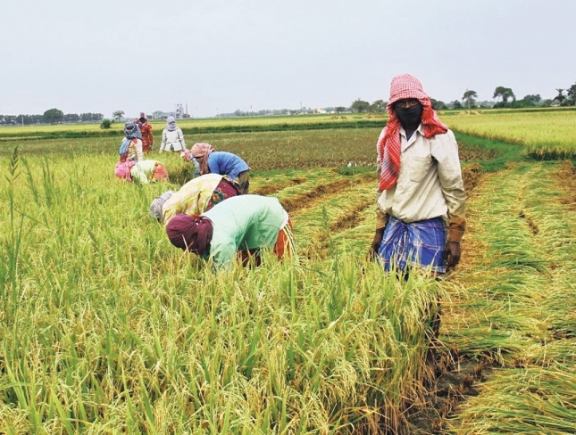 Government plans 12-digit unique ID for farmers