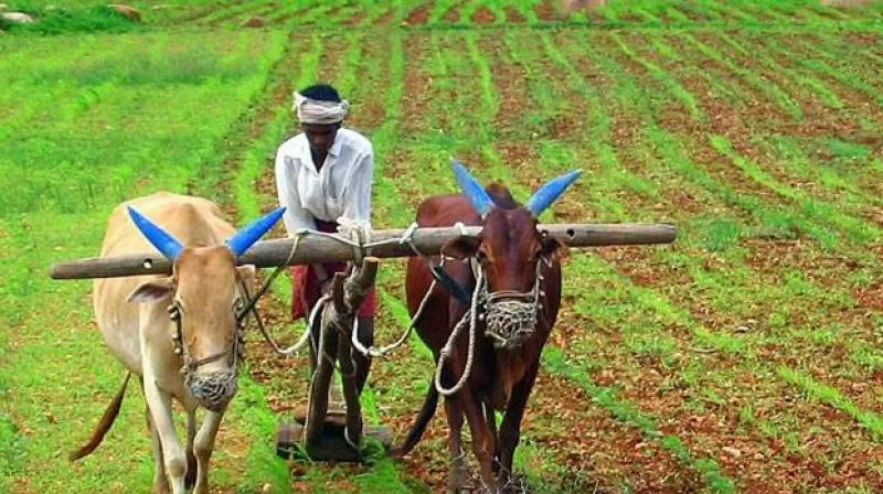 Indian farmer, Source: PTI