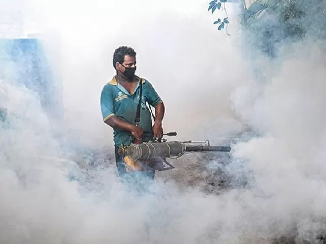 Serotype-2 dengue cases reported in 11 states in India