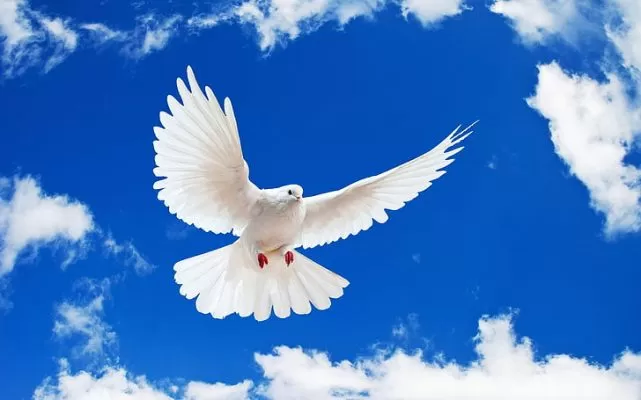 International Day of Peace 2021: History and Significance