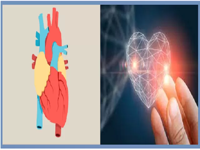 World Heart Day