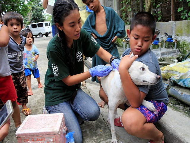 Anti-rabies vaccination of a dog, Source: Reuters